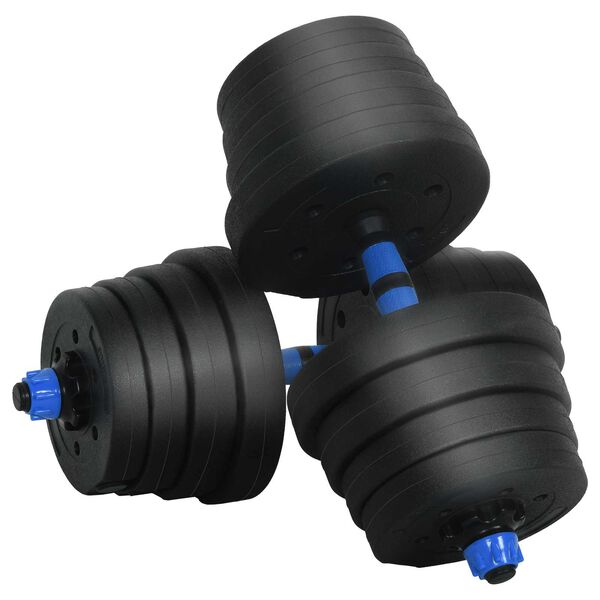 vidaXL Ensemble Halt&egrave;re-Barre 2-en-1 30kg Noir et Bleu
