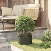 vidaXL Anneau de jardini&egrave;re 5 pcs Vert olive 30 x 30 x 20 cm