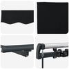 vidaXL Auvent R&eacute;tractable Noir 300 x 250 cm Polyester et Acier