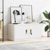 vidaXL Armoire de rangement Blanc 80 x 40 x 40 cm Acier