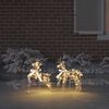 vidaXL Rennes LED avec 40 LED 2 pcs Blanc chaud PET