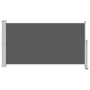 vidaXL Auvent lat&eacute;ral 160 x 300 cm Rectangulaire Anthracite