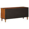 vidaXL Meuble TV Noyer 100 x 33 x 46 cm Bois de mangue massif