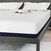 vidaXL Matelas Blanc et Bleu 160 x 200 cm Tissu jacquard