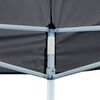 vidaXL Tente de f&ecirc;te Anthracite 291 x 580 x 315 cm Tissu Oxford
