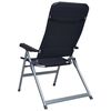vidaXL Chaises de jardin inclinables lot de 2 Aluminium Noir
