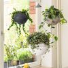 LECHUZA Jardini&egrave;re suspendue BOLA Color 32 ALL-IN-ONE Marron sable