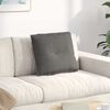 vidaXL Coussin de Dos Gris clair 50 x 45 cm Tissu en velours c&ocirc;tel&eacute;