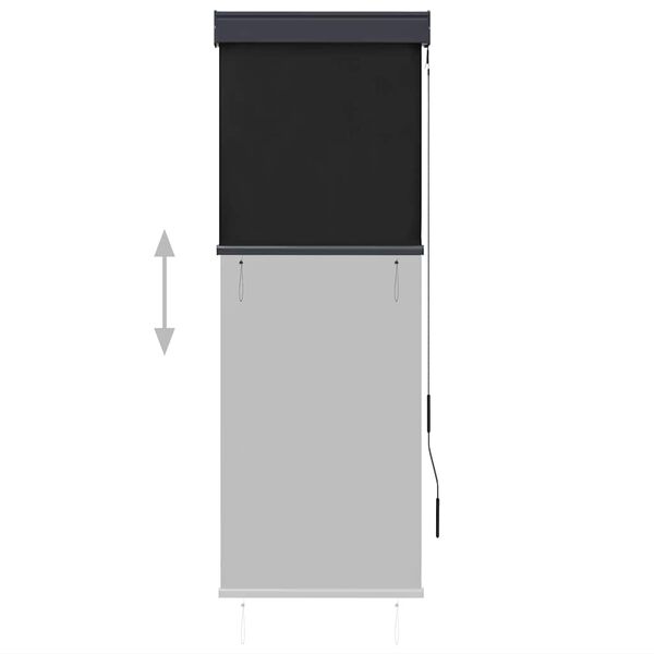vidaXL Store roulant d'ext&eacute;rieur 60 x 250 cm Anthracite