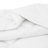 vidaXL Duvet d'hiver avec oreiller 3 pcs Blanc Microfibre