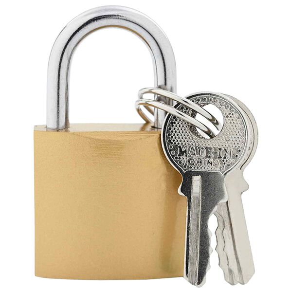 vidaXL U Lock avec Cl&eacute;s 6 pcs Laiton Fer