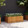 vidaXL Jardini&egrave;re sur&eacute;lev&eacute;e 100x50x36 cm Acier Corten