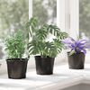 vidaXL Pot &agrave; fleurs 200 pcs Noir &Oslash; 15 x 12,5 cm Plastique