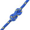 vidaXL Corde de bateau Polypropyl&egrave;ne 10 mm 250 m Bleu