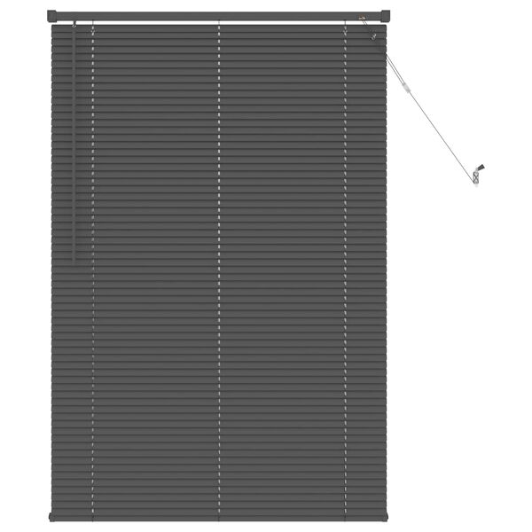 vidaXL Store V&eacute;nitien R&eacute;glable Gris Argent&eacute; 150 x 100 cm PVC