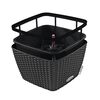 LECHUZA Jardini&egrave;re BACINO Cottage ALL-IN-ONE 30x30 cm noir graphite