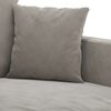 vidaXL Fauteuil Gris clair 60 cm Velours