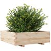 vidaXL Jardini&egrave;re 80x80x26,5 cm bois de pin massif