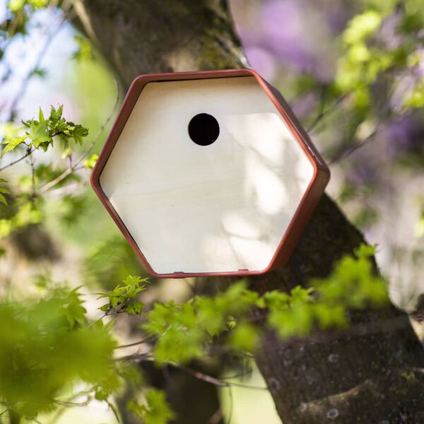 Capi Maison &agrave; oiseaux Hive 1 19x23x20 cm trou rond marron