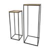 HSM Collection Ensemble de supports &agrave; plantes 2 pcs 40x40x110 cm