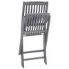 vidaXL Chaises pliables d'ext&eacute;rieur lot de 2 et coussins Bois d'acacia