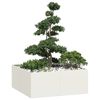 Vignette du produit 2 sur 9