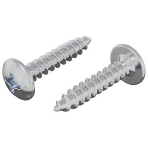 vidaXL Clou auto-perceur 2 pc Zinc&eacute; 4 x 20 mm Acier