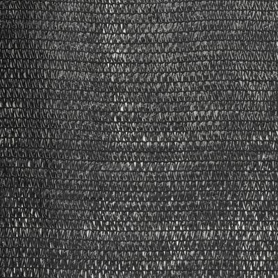 vidaXL Filet brise-vue PEHD 2x50 m Noir 150 g/m²