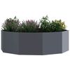 vidaXL Jardini&egrave;re Anthracite 120 x 120 x 35 cm Acier
