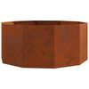 vidaXL Jardini&egrave;re Rouill&eacute; 120 x 120 x 50 cm Acier patin&eacute;