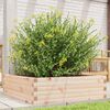 vidaXL Jardini&egrave;re 80x80x23 cm bois de pin massif
