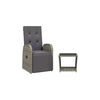 vidaXL Ensemble &agrave; manger de jardin et coussins 2 pcs gris rotin