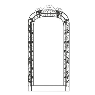 vidaXL Arche de jardin Noir 116x45x240 cm Acier
