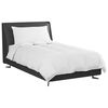 vidaXL Duvet d'hiver avec oreiller 2 pcs Blanc Plume de canard