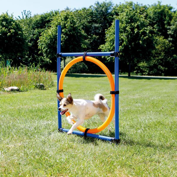 TRIXIE Cerceau d'agilit&eacute; pour chiens 115 x 3cm plastique