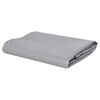 vidaXL B&acirc;che 650 g / m&sup2; 4x8 m Gris