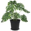 vidaXL Pots de plantes 24 pcs Noir &Oslash; 19 x 16 cm Plastique