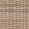 vidaXL Banc de rangement avec coussin Naturel 110 x 40 x 50 cm Rotin