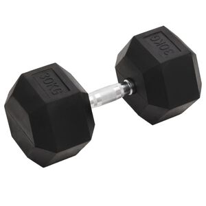 vidaXL Halt&egrave;re 30 kg Fonte