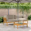 vidaXL Ensemble de Canap&eacute;s Uni 2 pcs Taupe Bois d'Acacia Massif