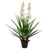 vidaXL Plante artificielle Orchid&eacute;e Cymbidium avec pot 100 cm Vert