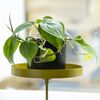 Esschert Design Plateau pour plantes avec pince Rond Dor&eacute; M