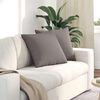vidaXL Coussins de canap&eacute; 2 pcs Taupe 50 x 50 cm tissu