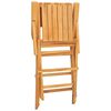 vidaXL Chaises de jardin pliantes lot de 6 55x61x90cm bois massif teck