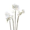Emerald Phalaenopsis artificiel avec mousse Blanc 90 cm 20.355