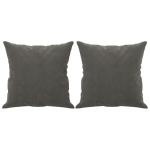 vidaXL Coussins d&eacute;coratifs lot de 2 Gris fonc&eacute; 40x40 cm Velours