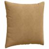 vidaXL Coussins de canap&eacute; 2 pcs Marron 60 x 60 cm