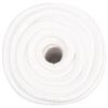 vidaXL Corde de bateau Blanc complet 20 mm 25 m Polypropyl&egrave;ne