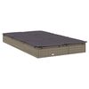 vidaXL Chaise longue &agrave; 2 places avec coussins gris r&eacute;sine tress&eacute;e