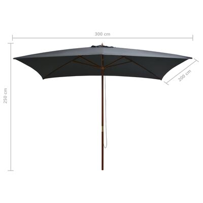 vidaXL Parasol d'extérieur avec mât en bois 200 x 300 cm Anthracite
